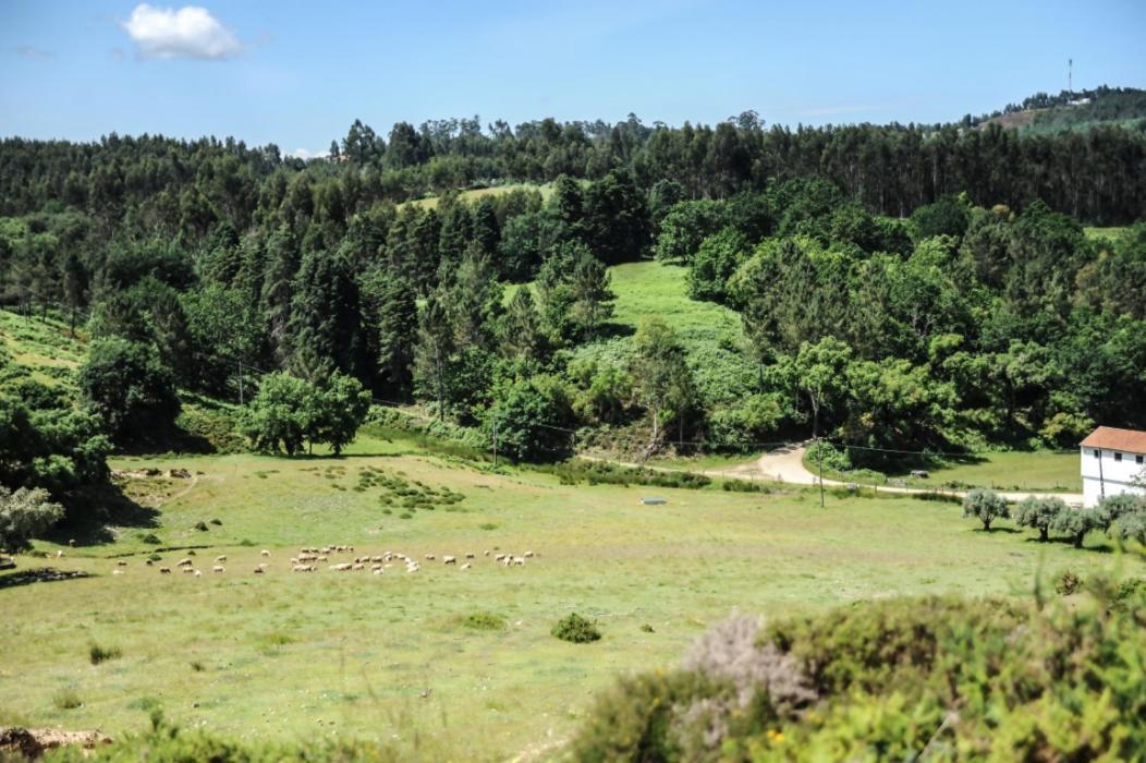 Vumba Agroturismo Arganil Extérieur photo